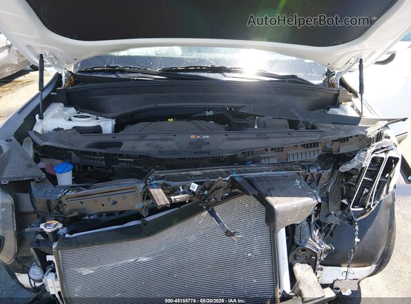 5XYP64GC2SG567991 2025 KIA TELLURIDE White Rear view