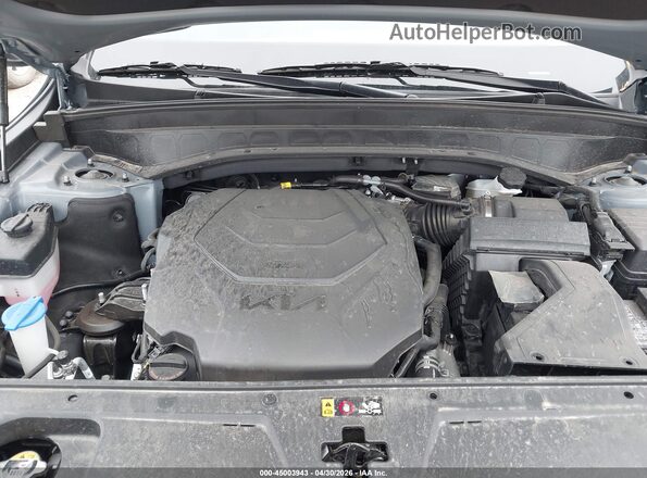 5XYP64GC2SG700281 2025 KIA TELLURIDE Gray Widok z tyłu