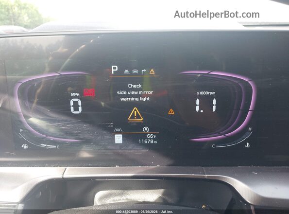 5XYP64GC5RG555621 2024 KIA TELLURIDE White Widok tylnych siedzeń