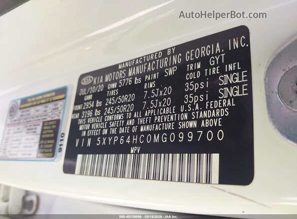 5XYP64HC0MG099700 2021 KIA TELLURIDE White Engine compartment view