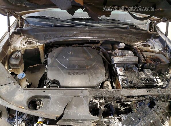 5XYP6DGC4RG483438 2024 KIA TELLURIDE White Շարժիչի բաժամունքի տեսք