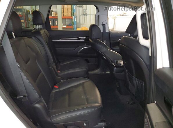5XYP6DGC4RG483438 2024 KIA TELLURIDE White Սալոնի հետևի տեսք