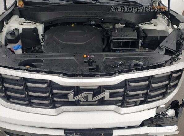 5XYP6DGC7RG544863 2024 KIA TELLURIDE White 