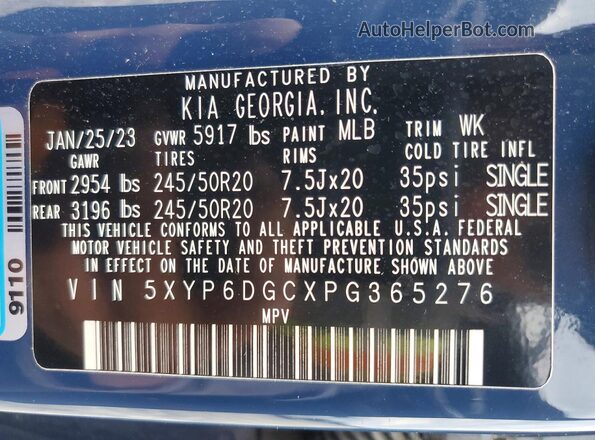 5XYP6DGCXPG365276 2023 KIA TELLURIDE Blue Панорамний вид салону 360°