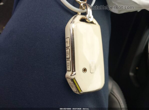 5XYP6DHC6LG006273 2020 KIA TELLURIDE White Vista del salpicadero