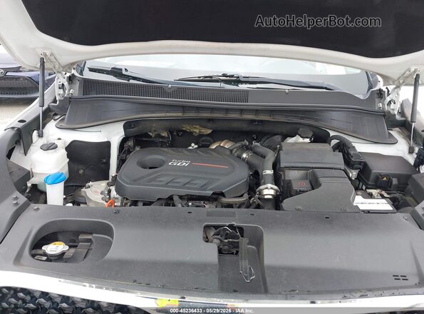 5XYPHDA19GG024842 2016 KIA SORENTO White უკანა ხედი