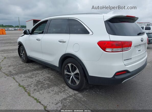 5XYPHDA19GG024842 2016 KIA SORENTO White უკანა მარცხენა