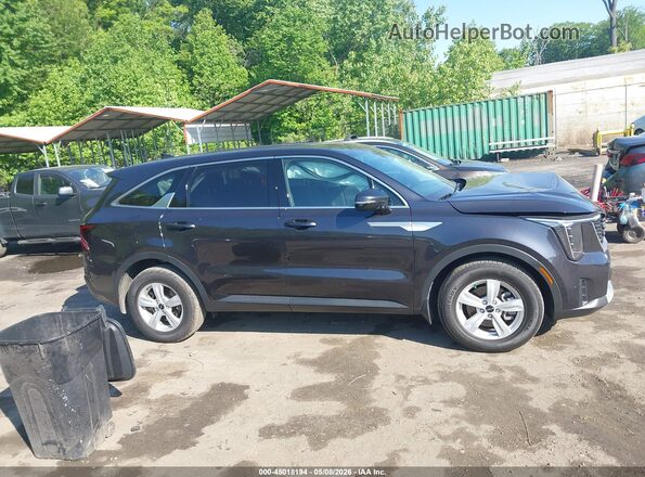 5XYRG4JC8SG404471 2025 KIA SORENTO Black Սալոնի հետևի տեսք