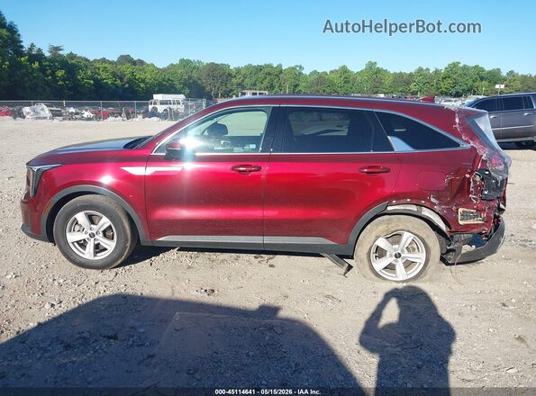 5XYRG4JC9RG289387 2024 KIA SORENTO Red 