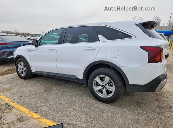 5XYRG4JC9RG297733 2024 KIA SORENTO White უკანა მარცხენა