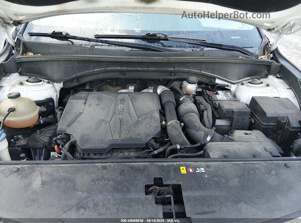5XYRH4LF0MG014388 2021 KIA SORENTO White Հետևի տեսք