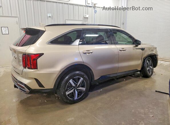 5XYRHDLF9MG028841 2021 KIA SORENTO Gold Tył prawy