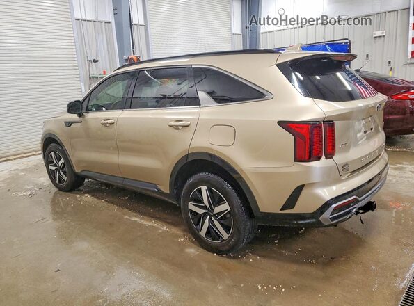 5XYRHDLF9MG028841 2021 KIA SORENTO Gold Tył lewy