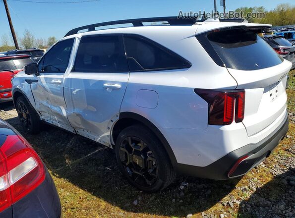 5XYRKDJF0RG264192 2024 KIA SORENTO White Tył lewy