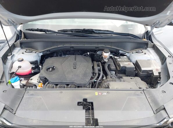 5XYRL4JC1RG279657 2024 KIA SORENTO Gray Widok z tyłu