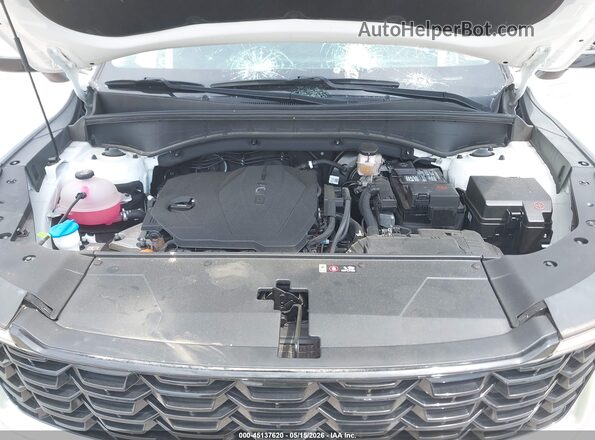 5XYRL4JC2RG254444 2024 KIA SORENTO White Հետևի տեսք