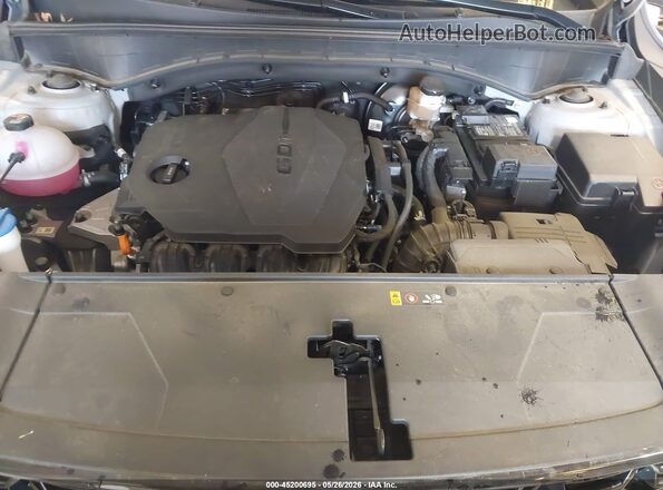5XYRL4JC2RG303643 2024 KIA SORENTO Серый Вид сзади