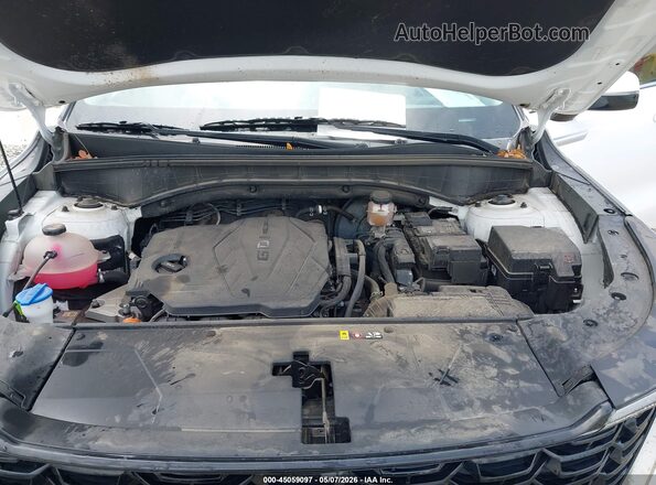 5XYRL4JC8RG285469 2024 KIA SORENTO White Вид ззаду