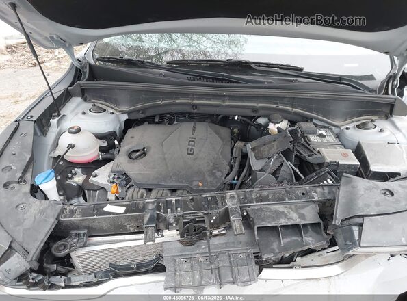 5XYRL4JC8SG348172 2025 KIA SORENTO Gray Widok z tyłu
