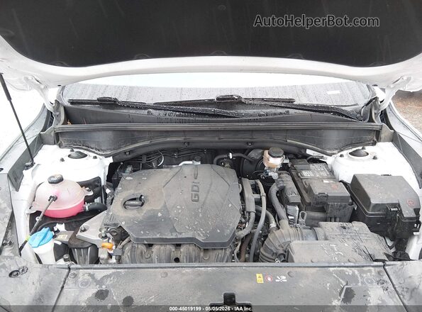 5XYRLDJC1RG283191 2024 KIA SORENTO White Вид ззаду