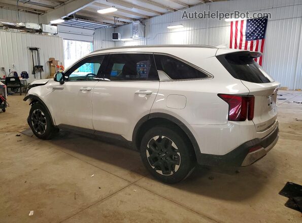 5XYRLDJC5SG330423 2025 KIA SORENTO White Trasero izquierdo