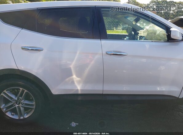 5XYZT3LB6JG566303 2018 HYUNDAI SANTA FE SPORT Белый 