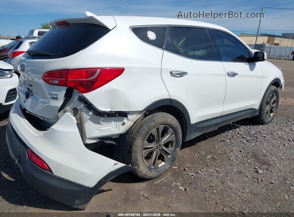5XYZTDLB5GG363823 2016 HYUNDAI SANTA FE SPORT Белый Задняя правая четверть