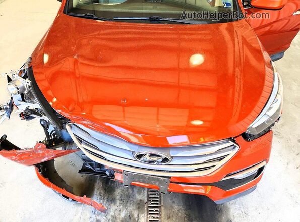 5XYZUDLB1HG460211 2017 HYUNDAI SANTA Orange Widok komory silnika