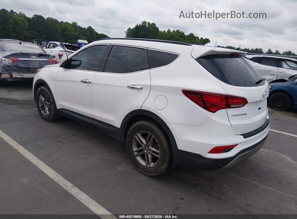 5XYZUDLB2HG420297 2017 HYUNDAI SANTA FE SPORT Белый Задняя левая четверть