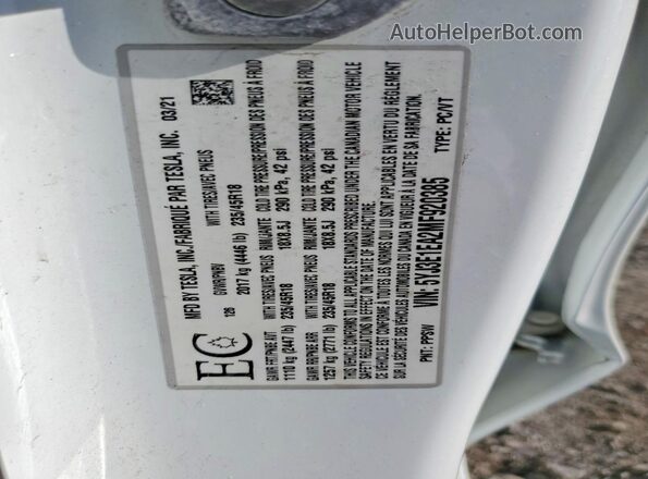 5YJ3E1EA2MF920385 2021 TESLA MODEL White 