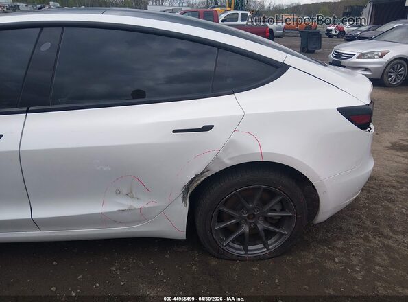5YJ3E1EB0MF855996 2021 TESLA MODEL 3 Белый Вид спереди