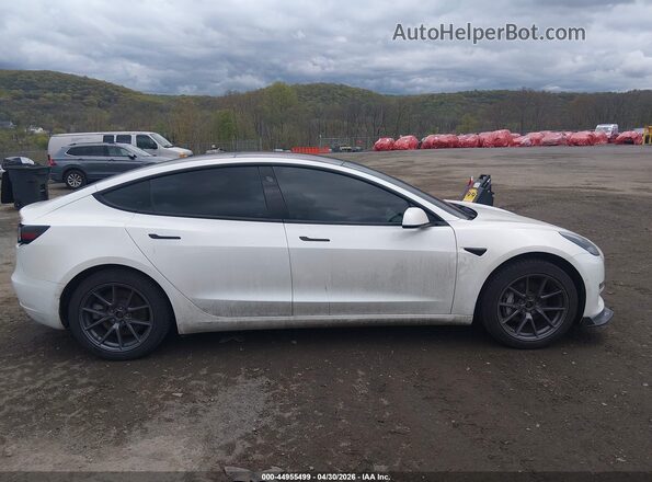 5YJ3E1EB0MF855996 2021 TESLA MODEL 3 Белый Вид задней части салона