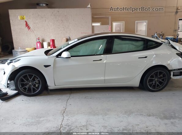 5YJ3E1EB0MF975894 2021 TESLA MODEL 3 Белый Вид задней части салона
