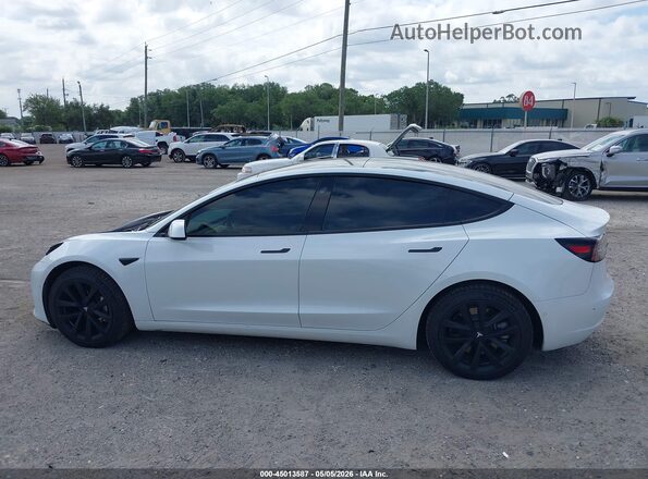 5YJ3E1EB1MF990436 2021 TESLA MODEL 3 White 