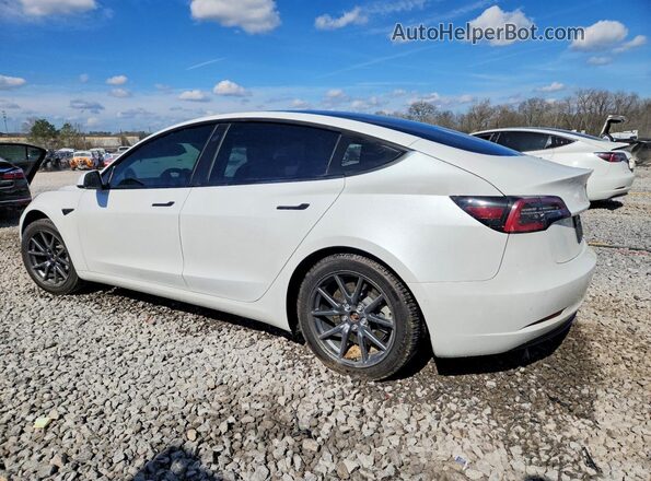 5YJ3E1EB2NF244580 2022 TESLA MODEL White Задня ліва чверть
