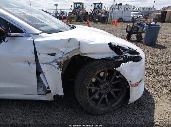 5YJ3E1EB5KF510976 2019 TESLA MODEL 3 White 