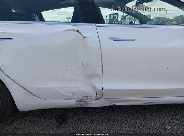5YJ3E1EB5KF510976 2019 TESLA MODEL 3 White 
