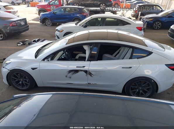 5YJ3E1EB8MF001144 2021 TESLA MODEL 3 Белый 