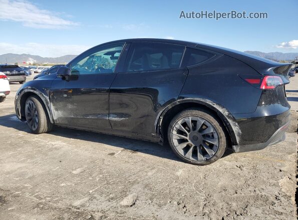 5YJYGDEE0MF093071 2021 TESLA MODEL Black Հետևի ձախ