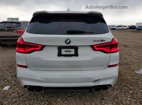 5YMTS0C02LLT10244 2020 BMW X3 White Rear view