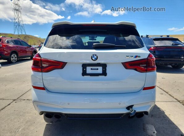 5YMTS0C05M9D81715 2021 BMW X3 White Вид ззаду