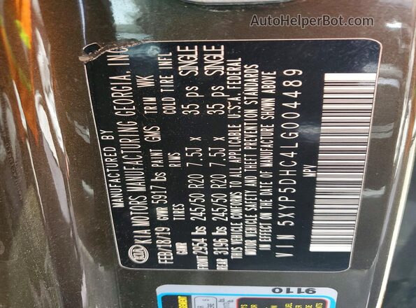 5XYP5DHC4LG004489 2020 KIA TELLURIDE Brown Widok wnętrza 360 stopni