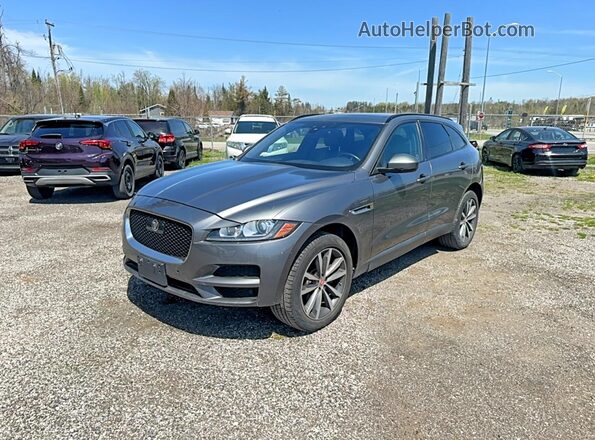 SADCK2FN4KA352120 2019 JAGUAR F-PACE Gray უკანა მარჯვენა