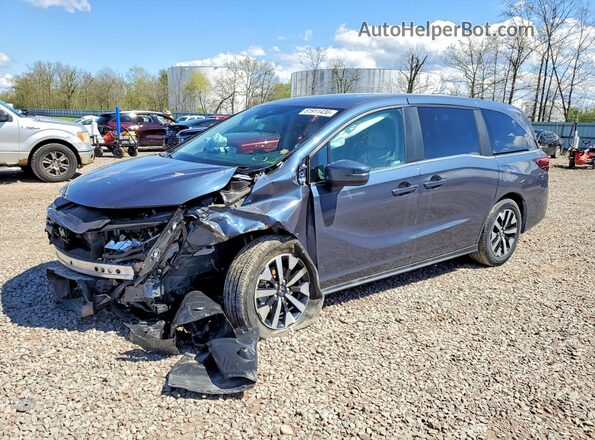 5FNRL6H68TB020772 2026 HONDA ODYSSEY Blue 