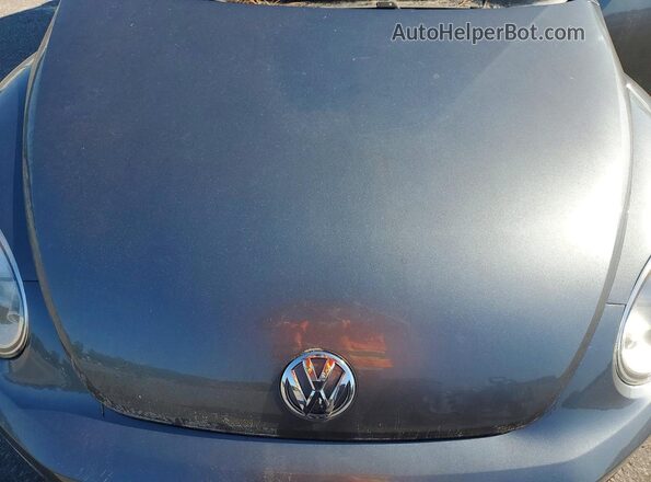 3VWF17ATXHM615704 2017 VOLKSWAGEN BEETLE Серый Вид подкапотного пространства