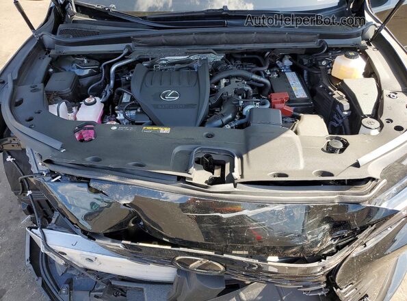 JTJCHMAA2S2023336 2025 LEXUS RX Black 