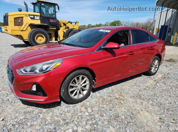 5NPE24AF6KH804951 2019 HYUNDAI SONATA Red 