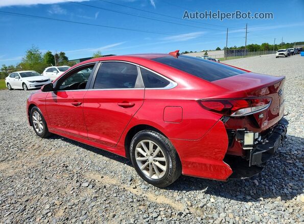 5NPE24AF6KH804951 2019 HYUNDAI SONATA Red 