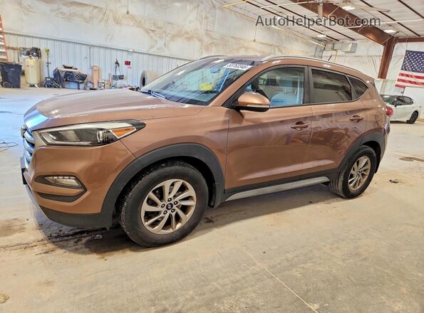 KM8J33A29HU367556 2017 HYUNDAI TUCSON Brown 