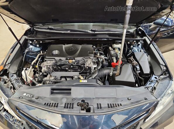4T1G11AK8LU342743 2020 TOYOTA CAMRY Blue Vista interior trasera